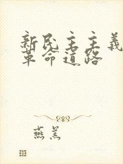 新民主主义革命革命道路