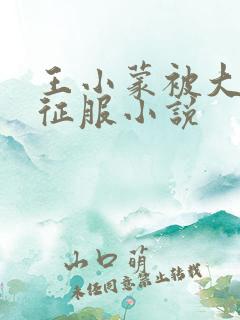 王小蒙被大肉楱征服小说