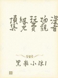 顶级玩物漫画全集免费观看下拉式