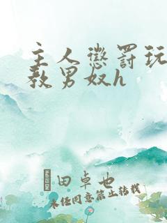 主人惩罚玩弄调教男奴h