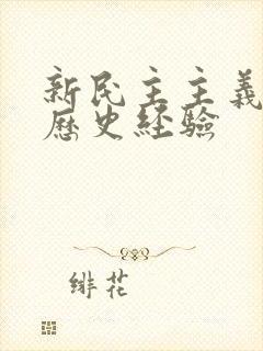 新民主主义革命历史经验