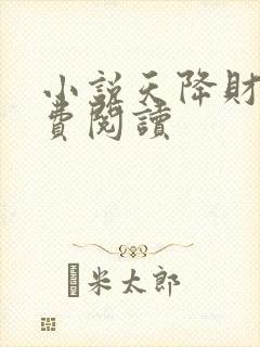 小说天降财运免费阅读