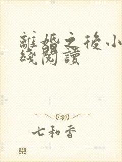 离婚之后小说在线阅读