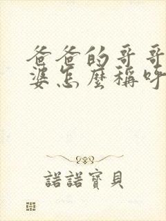 爸爸的哥哥的老婆怎么称呼