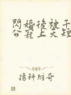 闪婚后被千亿老公宠上天短剧完整版