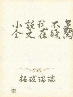 小说我不是戏神全文在线阅读