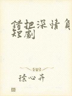 错把深情负流年短剧