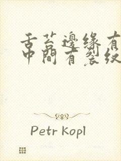 舌苔边缘有齿痕中间有裂纹