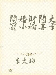 闪婚财阀大叔强宠小娇妻章节