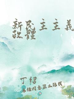 新民主主义革命政体