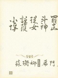 小说从斗罗开始俘获女神正版