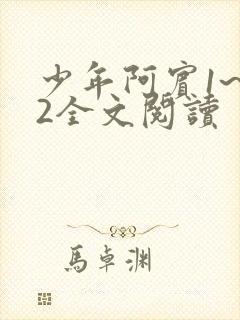 少年阿宾1~72全文阅读