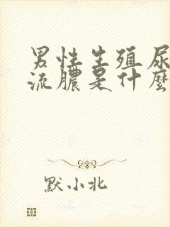 男性生殖尿道口流脓是什么病