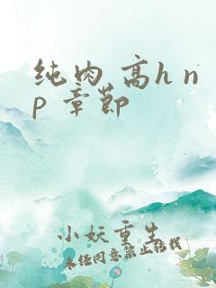 纯肉 高h np 章节