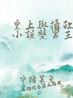 皇上与摄政王的小说双男主