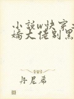 小说w快穿之病娇大佬别黑化》
