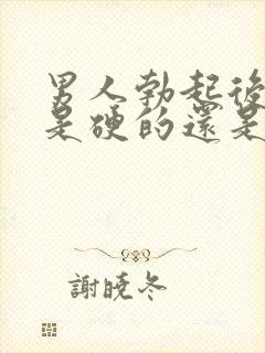 男人勃起后龟头是硬的还是软的