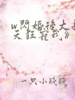 w闪婚后大叔每天狂宠我》小说