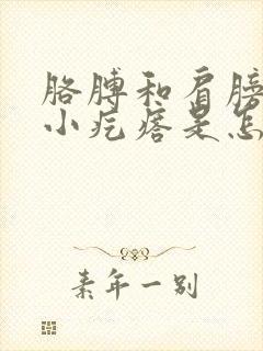 胳膊和肩膀上有小疙瘩是怎么回事