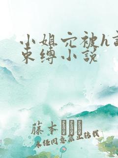 小姐穴被h调教束缚小说