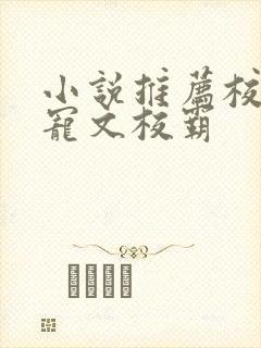 小说推荐校园甜宠文校霸