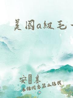 美国a级毛一片