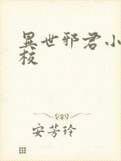 异世邪君小说精校