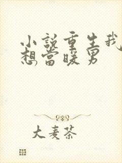 小说重生我真没想当暖男