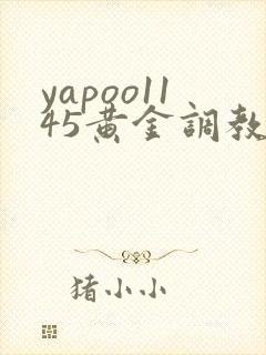 yapoo1145黄金调教vk