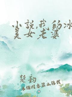 小说,我的冰山美女老婆