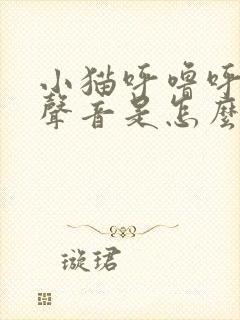 小猫呼噜呼噜的声音是怎么回事