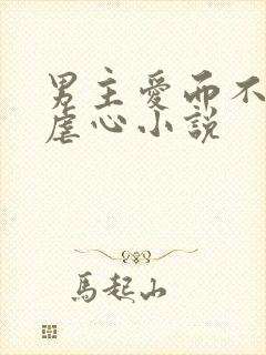 男主爱而不得的虐心小说