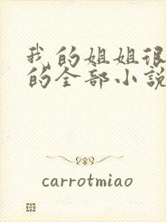 我的姐姐很弟控的全部小说
