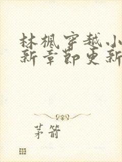 林枫穿越小说最新章节更新