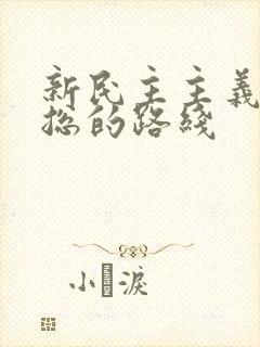 新民主主义革命总的路线