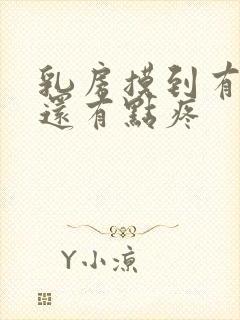 乳房摸到有硬块还有点疼