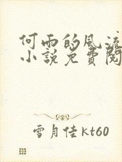 何雨的风流人生小说免费阅读