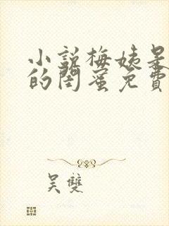 小说梅姨是小妈的闺蜜免费阅读