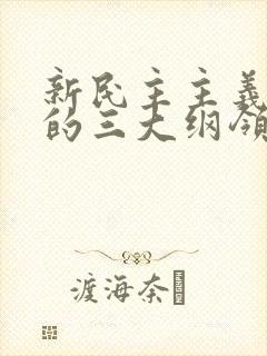 新民主主义革命的三大纲领