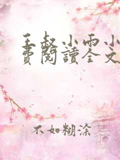 王叔小雨小说免费阅读全文