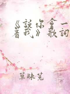 《说你会一直爱着我》歌词