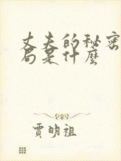 丈夫的秘密大结局是什么