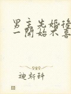 男主先婚后爱,一开始不喜欢女主角