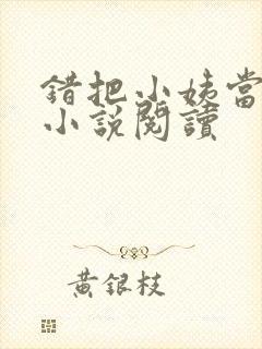 错把小姨当媳妇小说阅读