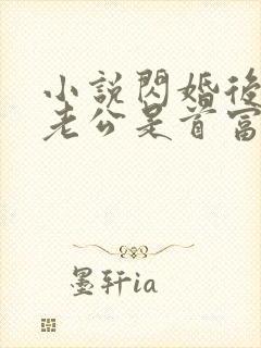 小说闪婚后发现老公是首富