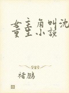 女主角叫沈离的重生小说