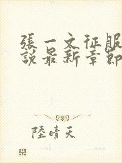 张一文征服芸小说最新章节