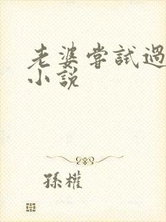 老婆尝试过黑人小说