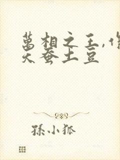 万相之王,作者天蚕土豆