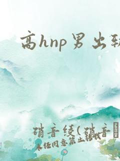 高hnp男出轨